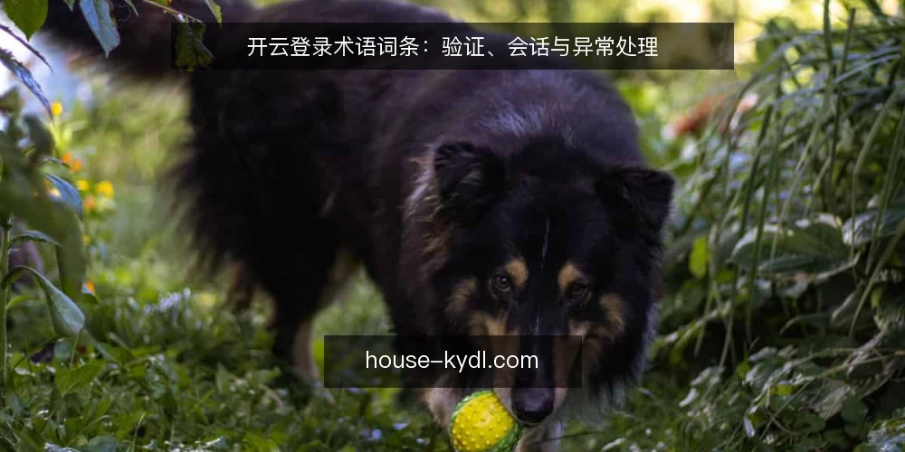 开云登录术语词条：验证、会话与异常处理 — 开云登录是什么？先厘清基础术语 配图