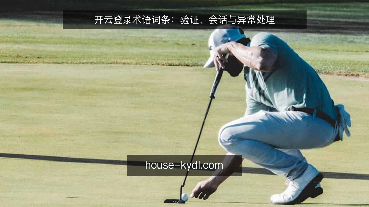 开云登录术语词条：验证、会话与异常处理