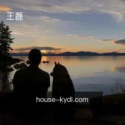 王磊